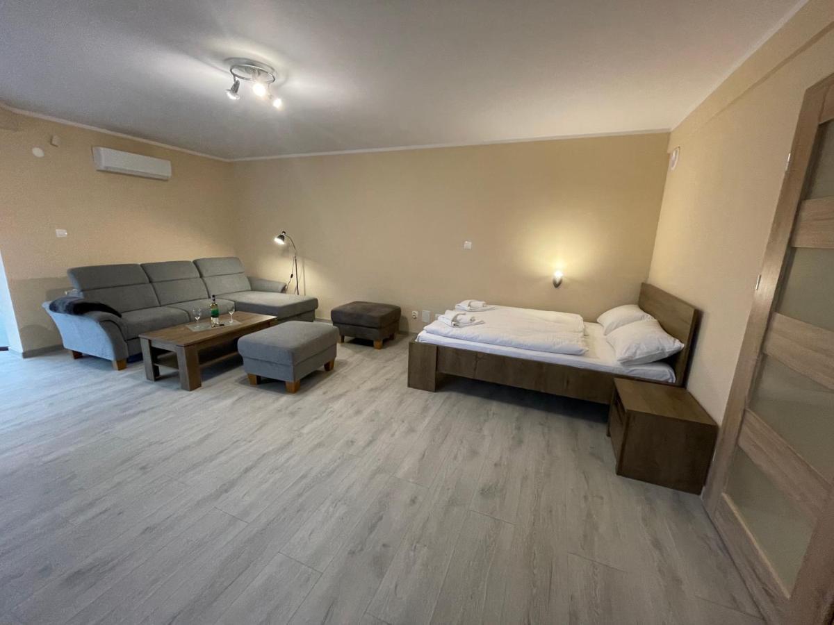 Apartamenty Alicja Dzierżoniów エクステリア 写真