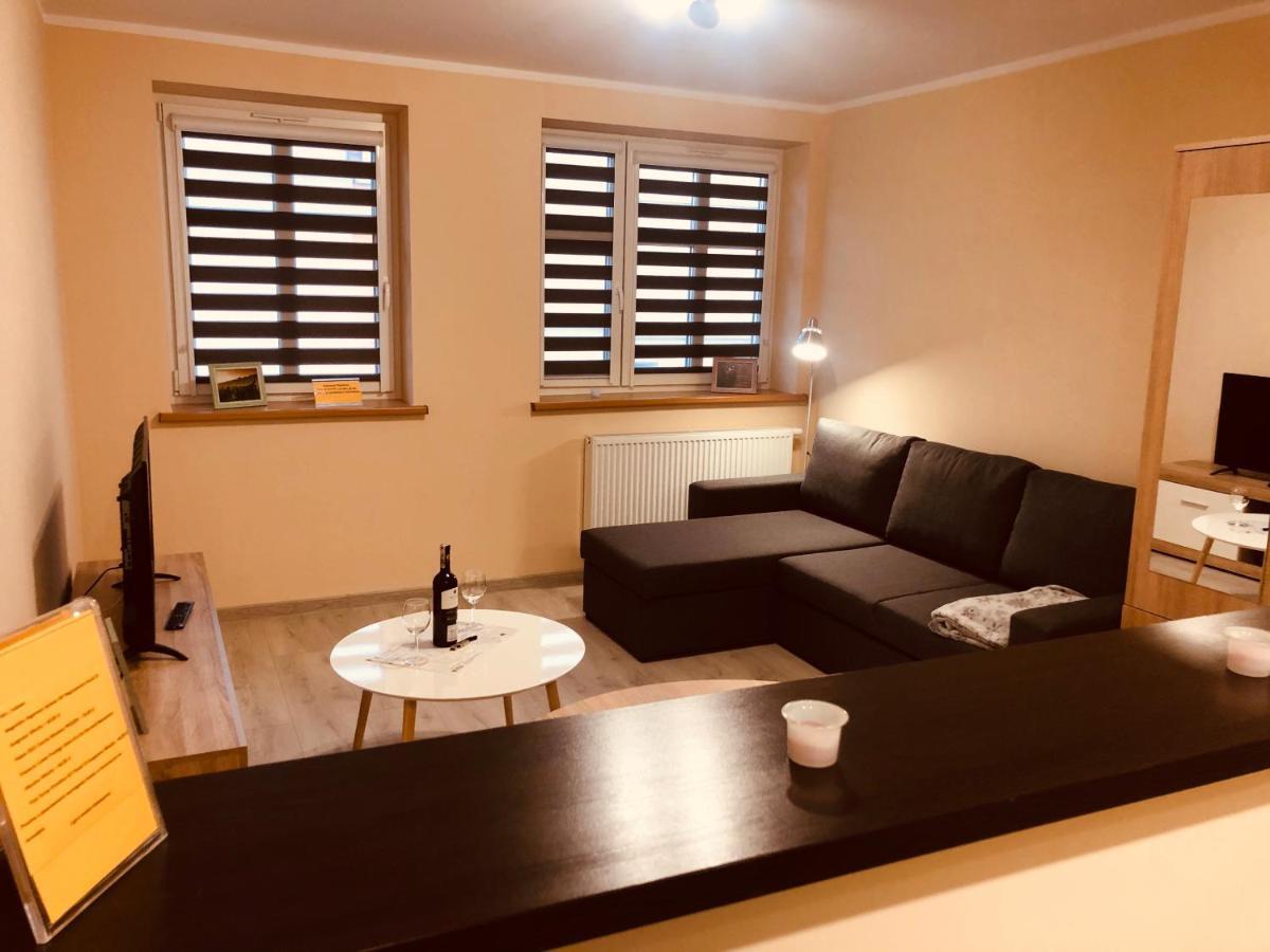 Apartamenty Alicja Dzierżoniów エクステリア 写真