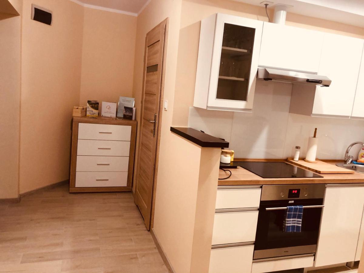 Apartamenty Alicja Dzierżoniów エクステリア 写真